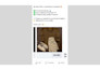 do shopify facebook ads campaign, instagram ads, meta ad manager